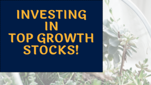 Investing in growth Stocks